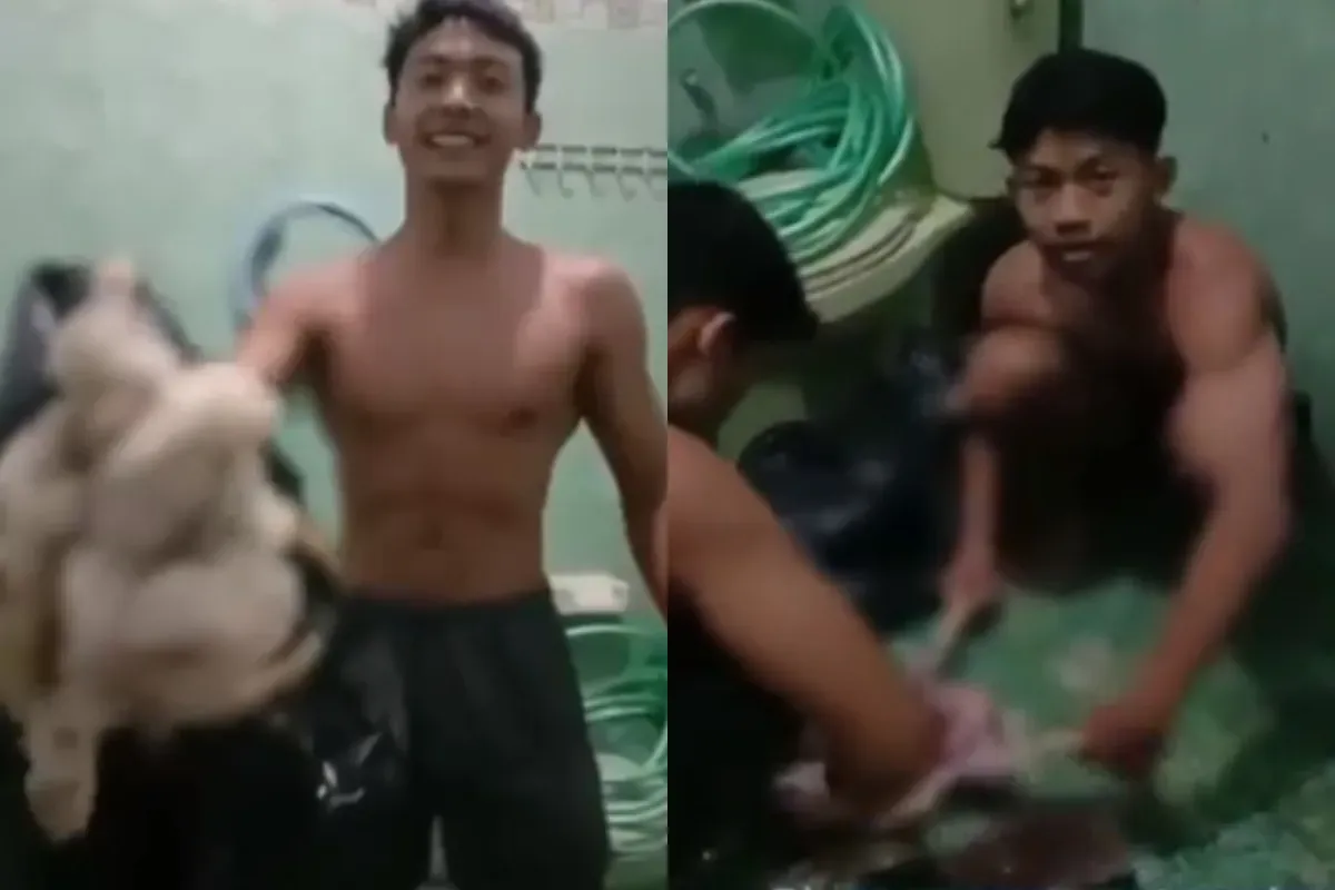 Sejumlah atlet binaraga di Malang mengonsumsi ayam tiren untuk memenuhi kebutuhan proteinnya. (Sumber: Tangkap Layar X/@Heraloebs)