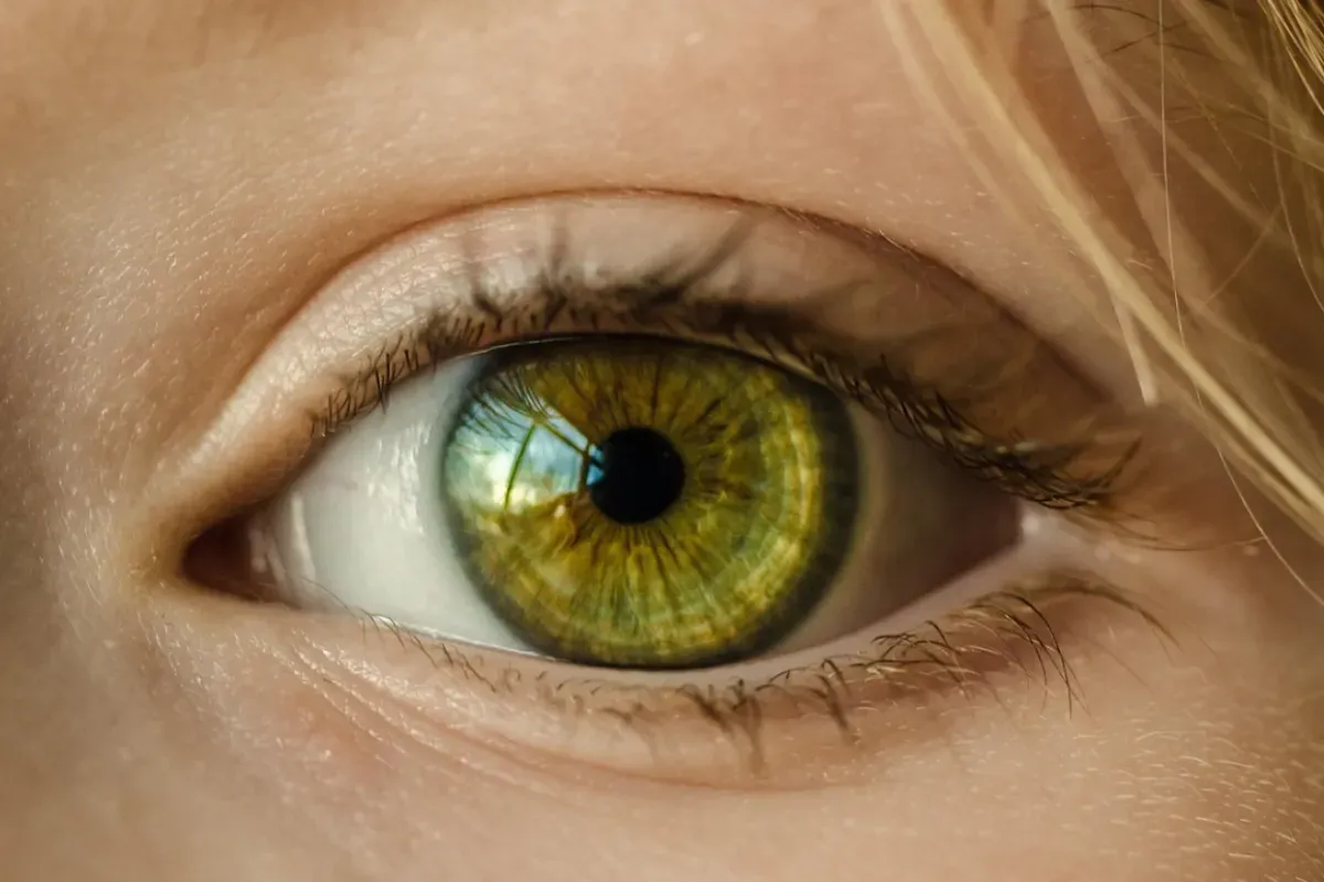 Ilustrasi scan iris mata yang dilakukan World App. (Sumber: Pixabay)