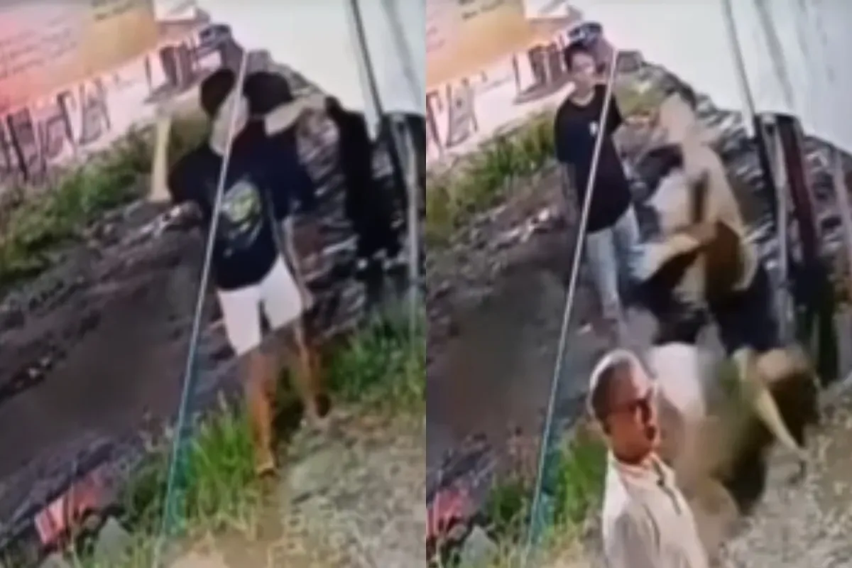 Aksi perkelahian berujung penikaman antar pemuda gegara membela teman wanitanya. (Sumber: Tangkap Layar Instagram/@medsoszone)