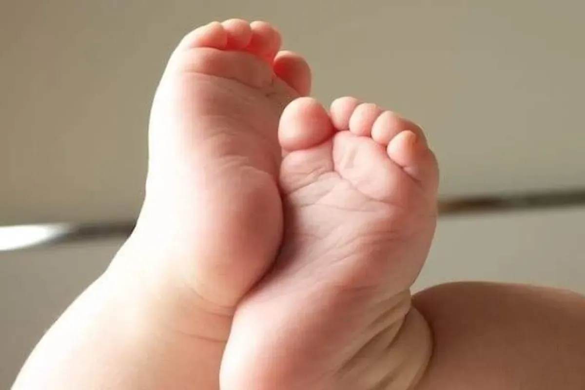 Ojol di Medan Terima Paket dari Pasangan Muda, Isinya Ternyata Mayat Bayi (Sumber: Freepik)