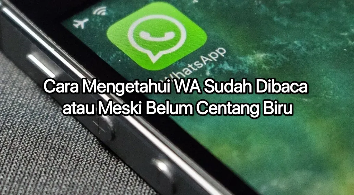 Cara mengetahui chat WhatsApp sudah dibaca atau belum. (Canva)