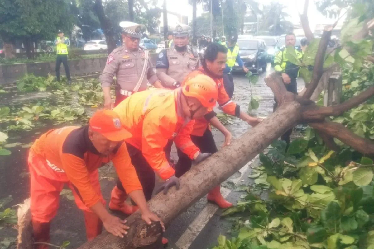 Pohon tumbang di Jalan Daan Mogot, Cengkareng, Jakarta Barat, Minggu, 11 Mei 2025. (Sumber: Dok. BPBD Jakarta)