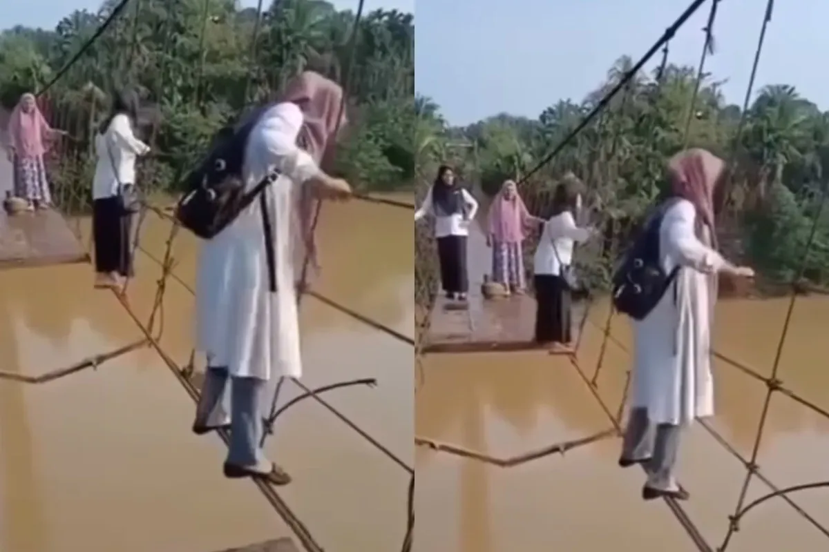 Momen sejumlah guru SD di Jambi nekat menyeberangi jembatan rusak untuk mengajar. (Sumber: Tangkap Layar Instagram/@medsoszone)