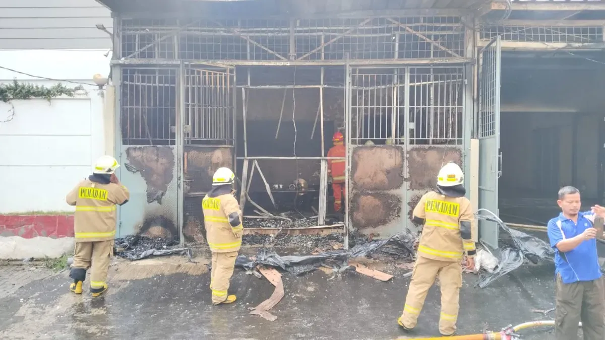 Pemadam kebakaran berupaya memadamkan api yang melalap satu ruko di kawasan Jelambar, Grogol Petamburan, Jakarta Barat, Selasa 13 Mei 2025. (Sumber: Dok. Warga)