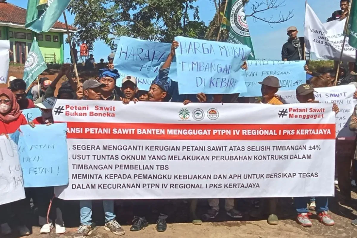 Ratusan petani sawit di Kecamatan Banjarsari, Kabupaten Lebak, saat melakukan aksi demo, Senin, 19 Mei 2025. (Sumber: Dok. Apkasindo Banten)