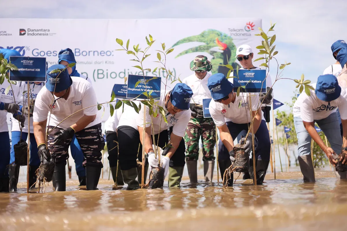 PT Telkom Indonesia (Persero) Tbk melakukan penanaman mangrove dalam kegiatan “GoZero% Goes to Borneo” di Pantai Batu Perawan, Tarakan, Kalimantan Utara. (Sumber: PT Telkom Indonesia (Persero) Tbk)