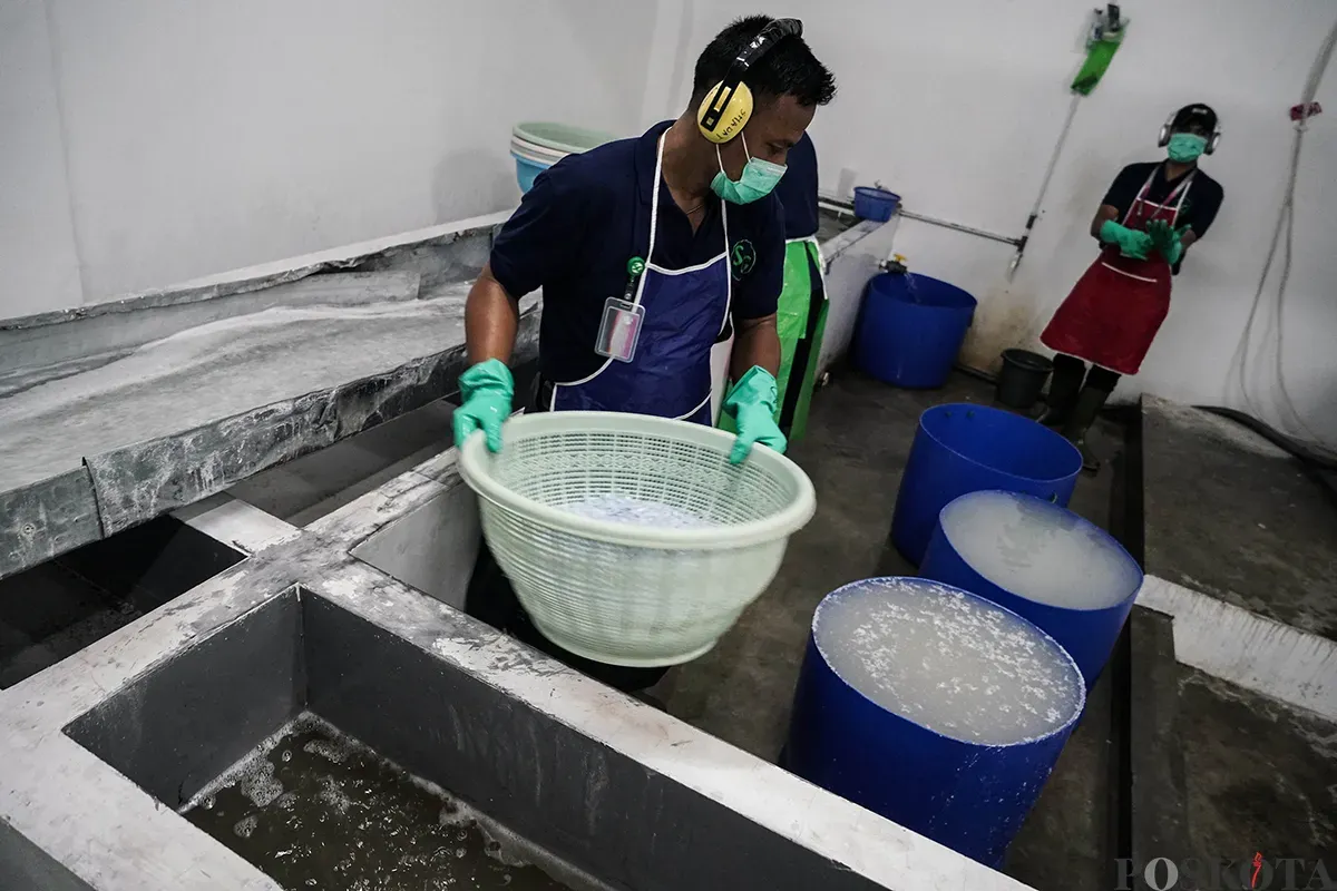 Petugas mengerjakan proses pengolahan limbah botol plastik menjadi cacahan di Waste Treatment Plant di komplek olahraga stadion Gelora Bung Karno (GBK), Jakarta, Kamis, 22 Mei 2025. (Sumber: Poskota/Bilal Nugraha Ginanjar)