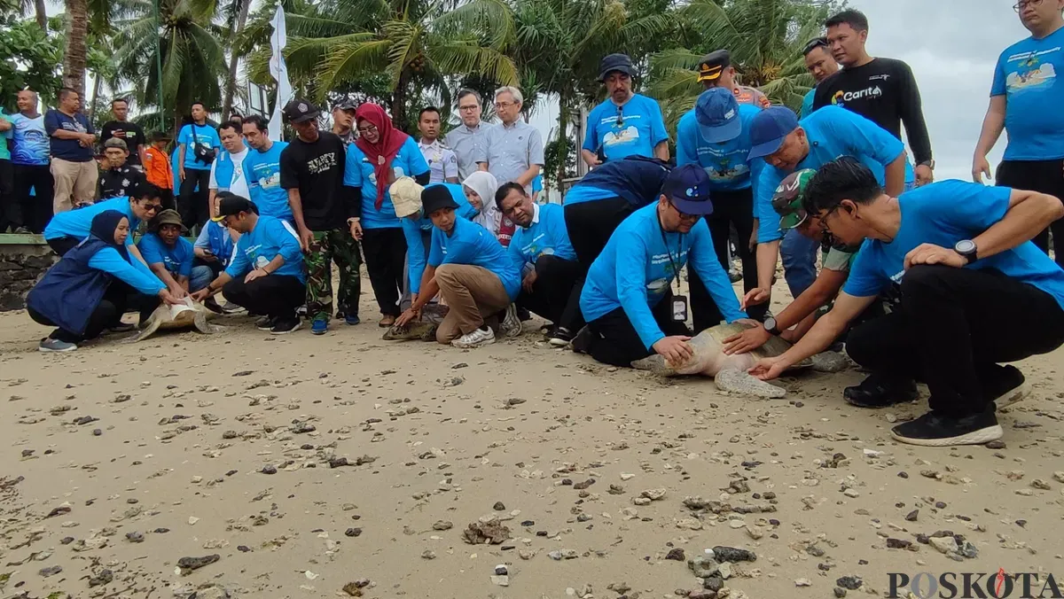 Dirjen KKP bersama pengelola Mutiara Carita dan pihak terkait lainya melepasliarkan belasan penyu ke laut Carita, Pandeglang. (Sumber: Poskota/Samsul Fatoni)