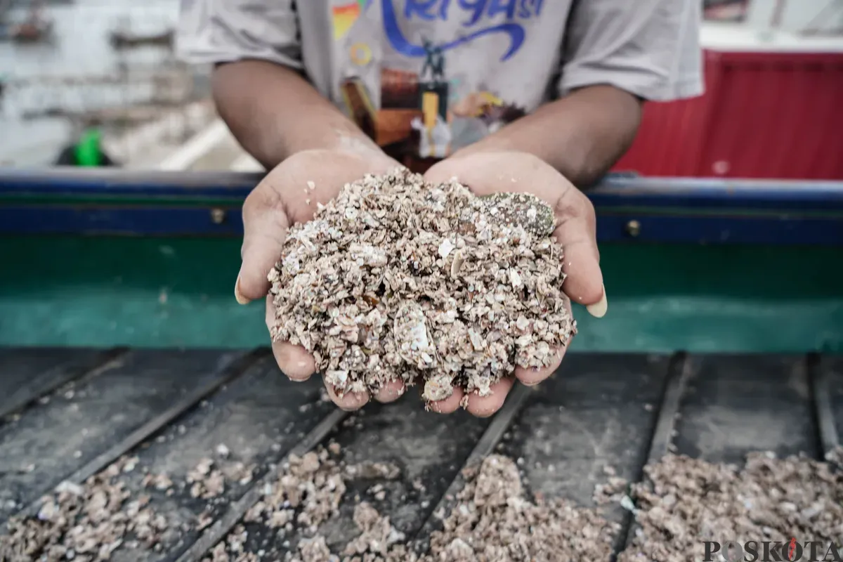Pekerja mengerjakan proses pembuatan adonan kerajinan berbahan dasar limbah cangkang kerang hijau di Rumah Produksi Kelompok Kerajinan Cangkang Kering (Cangkring), Cilincing, Jakarta Utara, Senin, 26 Mei 2025. (Sumber: Poskota/Bilal Nugraha Ginanjar)
