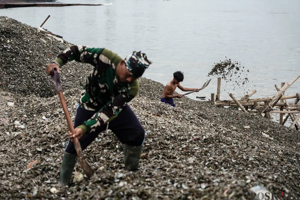 Tumpukan sampah cangkang kerang hijau di Kawasan Cilincing, Jakarta Utara, Senin, 24 Mei 2025. (Sumber: Poskota/Bilal Nugraha Ginanjar)