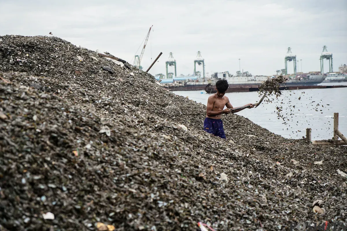Tumpukan sampah cangkang kerang hijau di Kawasan Cilincing, Jakarta Utara, Senin, 24 Mei 2025. (Sumber: Poskota/Bilal Nugraha Ginanjar)