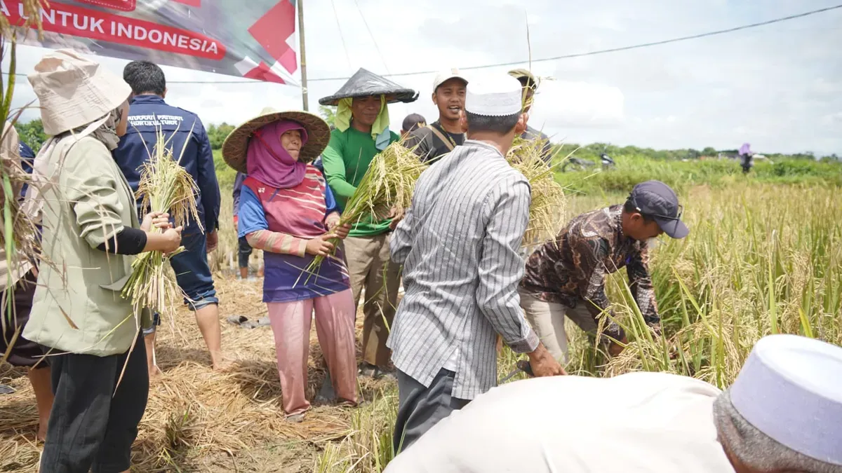 Kementerian Pertanian memperkuat kelembagaan petani dengan mengembangkan model korporasi. (Sumber: Kementan)