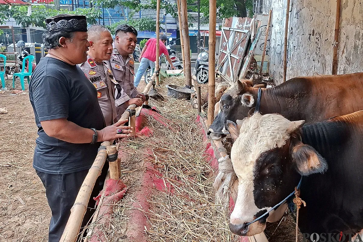 Nahrowi alias Awi Ireng (peci hitam), pedagang Hewan kurban H Manin HS di Cinere, Depok. (Sumber: POSKOTA | Foto: Angga Pahlevi)