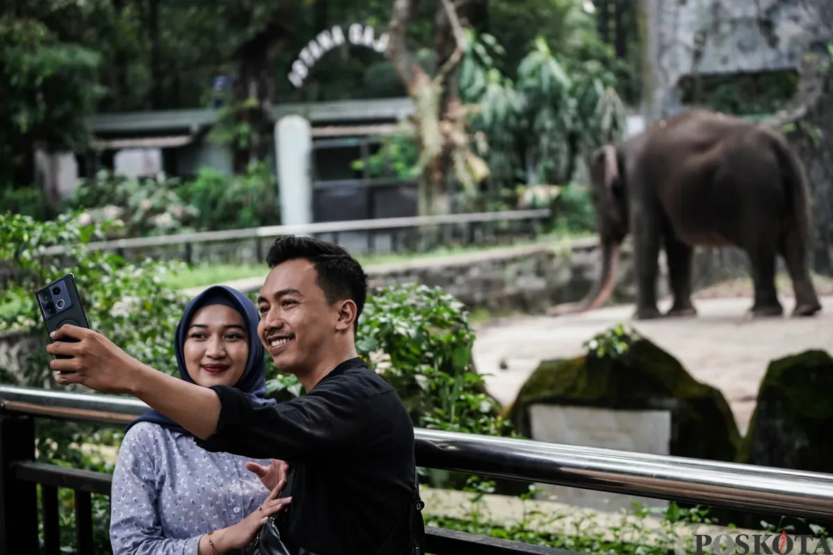 Pengunjung menyaksikan gajah saat berlibur ke Taman Margasatwa Ragunan, Jakarta Selatan, Jum'at, 30 Mei 2025. Taman Margasatwa Ragunan memprediski total pengunjung sebanyak 100 ribu wisatawan pada hari libur Kenaikan Yesus Kristus dengan puncak kunjungan pada Minggu, 1 Juni 2025. (Sumber: Poskota/Bilal Nugraha Ginanjar)