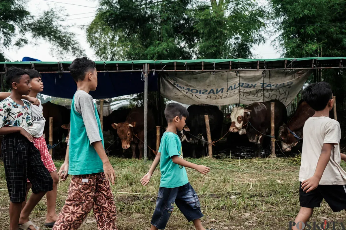 Lembaga Riset Institute for and Affluance Studies (IDEAS) memproyeksikan turunnya potensi nilai ekonomi kurban Indonesia tahun 2025 sebesar Rp27,1 triliun. (Sumber: Poskota/Bilal Nugraha Ginanjar)