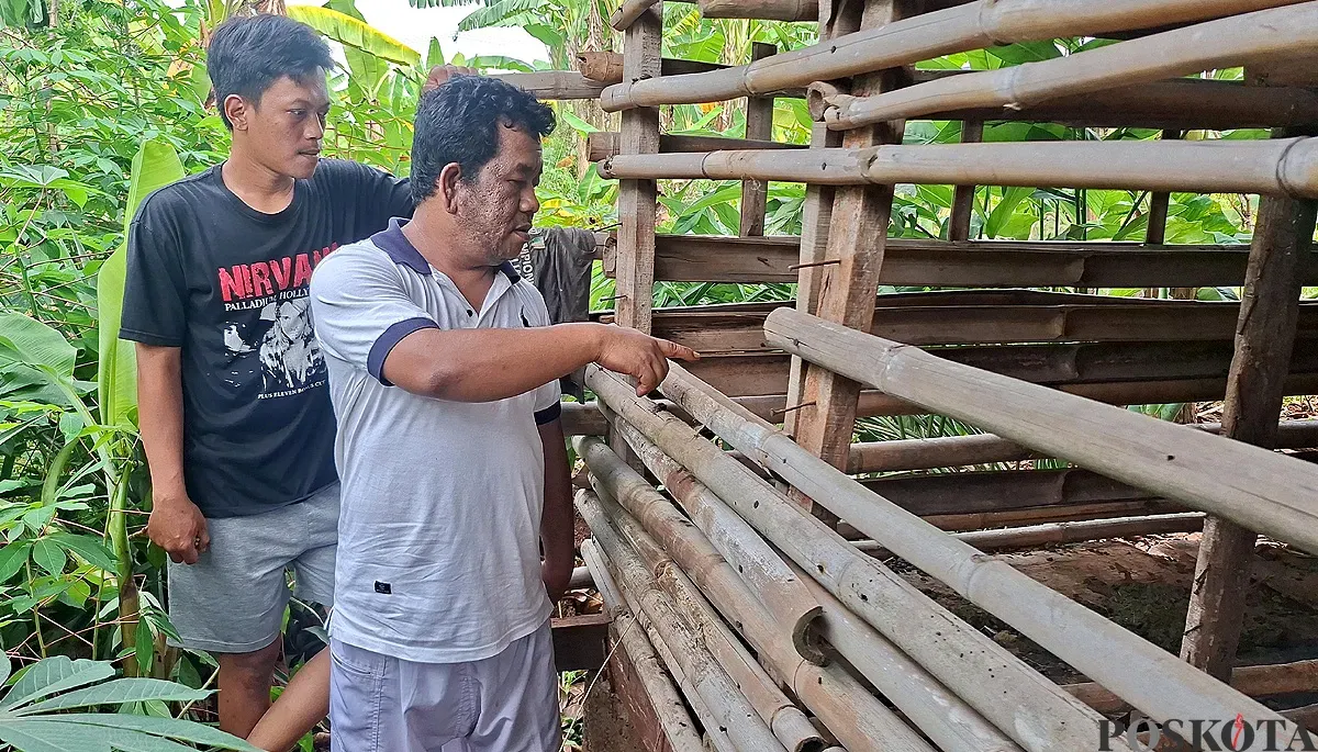 Fadilah (kanan) bersama warga menunjukan lokasi kandang kambing miliknya yang dirusak pelaku pencurian. (Sumber: POSKOTA | Foto: Angga Pahlevi)