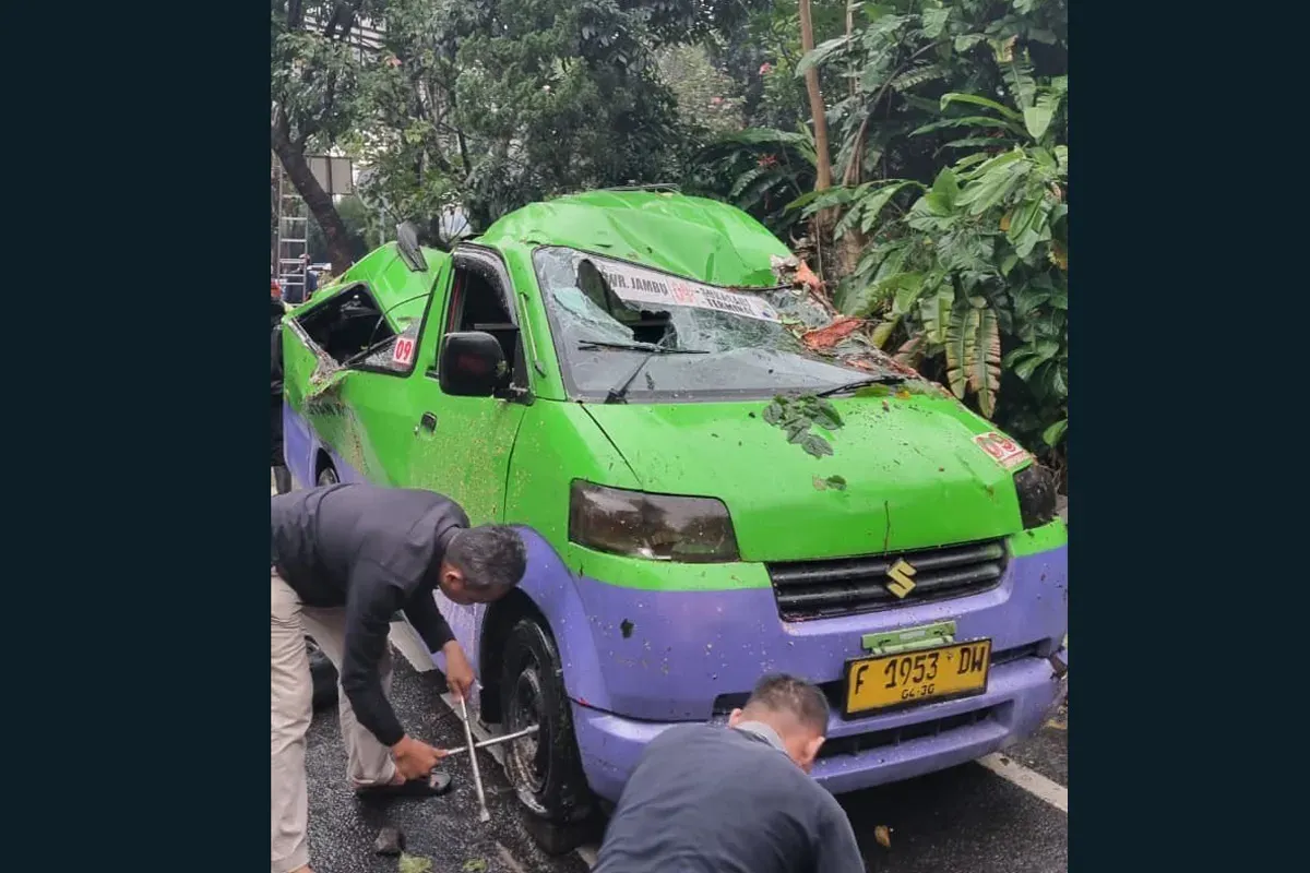 Kondisi angkot yang ringsek tertimpa pohon tumbang di Jalan Raya Pajajaran, Kota Bogor. (Sumber: Dok BPBD Kota Bogor)