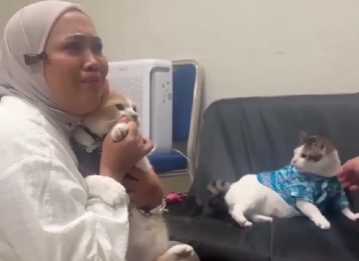 Pertemuan Kucing RI 1 dan Kucing Influencer yang Bikin Netizen Gemas (Sumber: Instagram/@cicichaniaa)