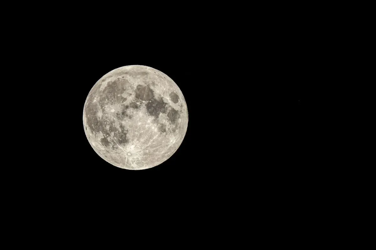 Daftar fenomena astronomi November 2025. (Sumber: Freepik)