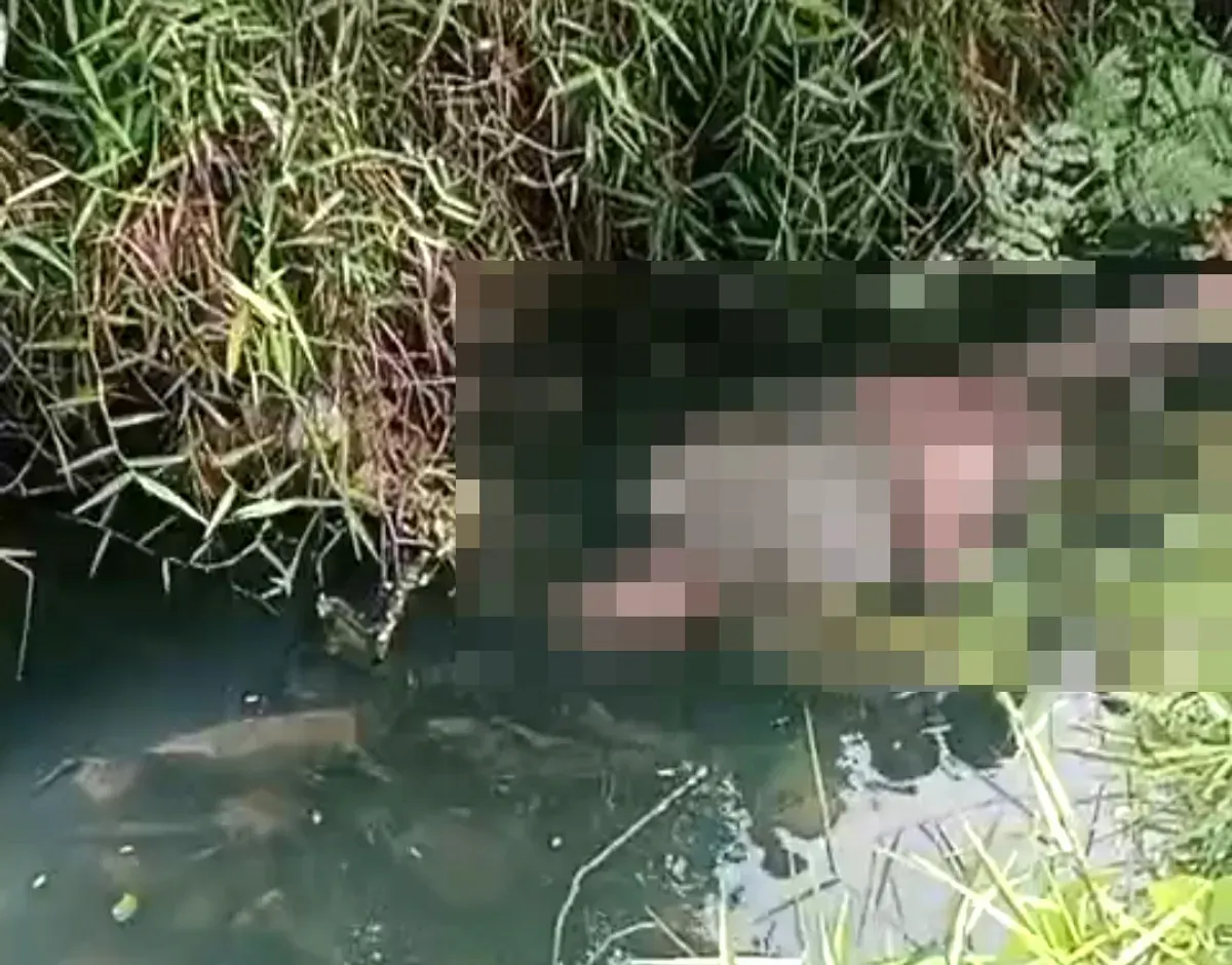 Penampakan mayat perempuan yang mengapung di aliran Kali Balong Jaer, Desa Sukabudi, Kecamatan Sukawangi, Kabupaten Bekasi. (Sumber: Istimewa)