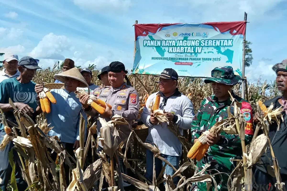 Jajaran Polres Serang dan kelompok tani binaan saat panen raya jagung di Desa Cemplang, Kecamatan Jawilan, Kabupaten Serang, Jumat, 7 November 2025. (Sumber: Poskota/Rahmat Haryono)