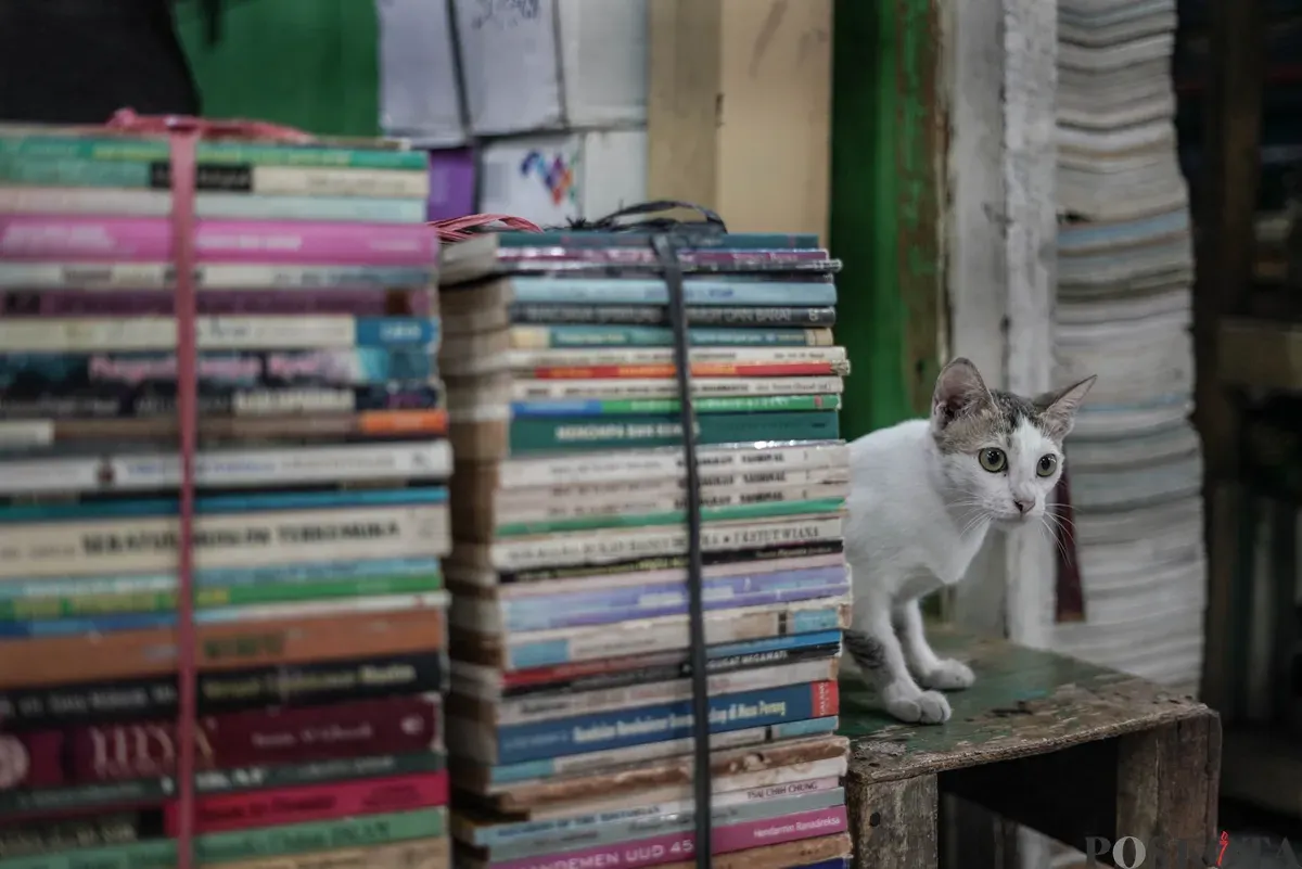 Tumpukan buku yang dijual di Pasar Kwitang, Jakarta, Minggu, 9 November 2025. (Sumber: Poskota/Bilal Nugraha Ginanjar)