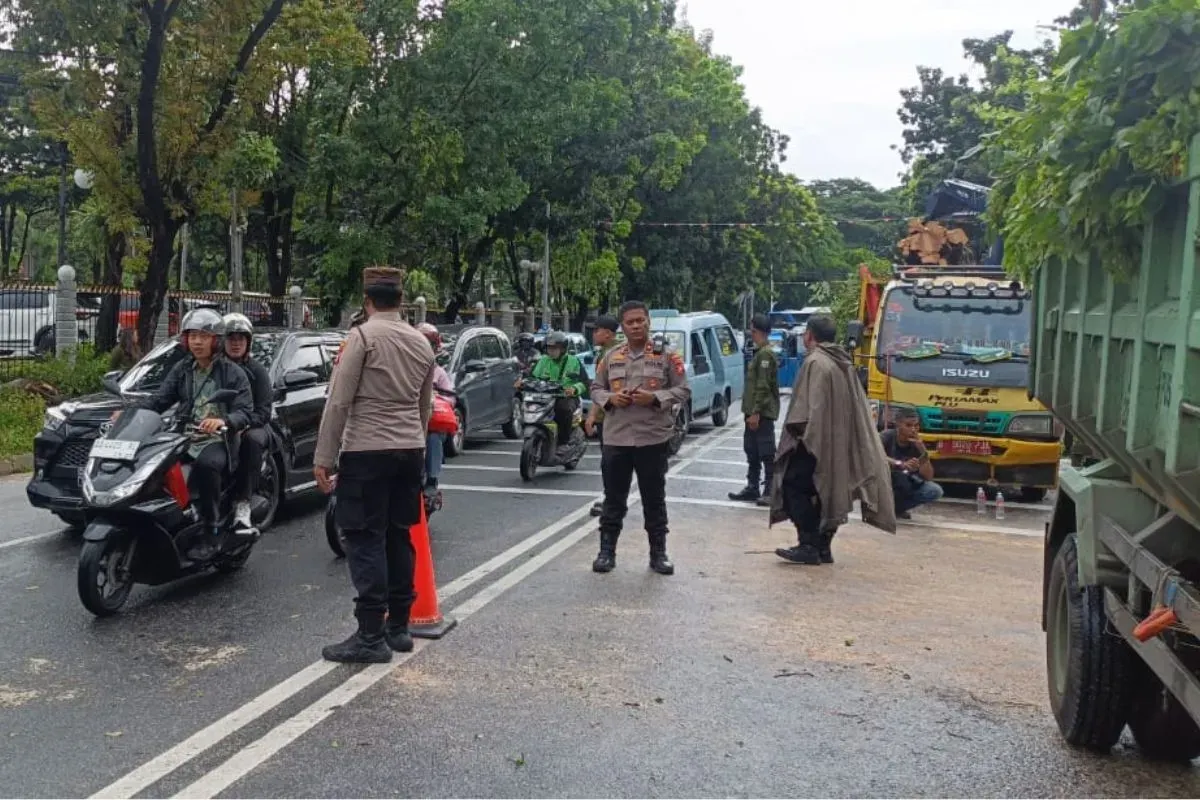 Petugas mengatur lalu lintas lokasi pohon tumbang di Jalan Wahidin Raya, dekat Kantor Kemenkeu, Pasar Baru, Sawah Besar, Jakarta Pusat, Jumat, 14 November 2025. (Sumber: Dok. Humas Polres Jakpus)