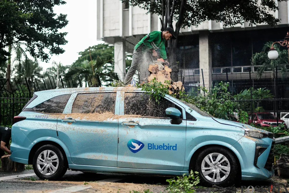 Petugas Suku Dinas Pertamanan dan Hutan Kota mengevakuasi pohon tumbang yang menimpa mobil taksi di Jalan Dr Wahidin Raya, Jakarta, Jumat, 14 November 2025. (Sumber: Poskota/Bilal Nugraha Ginanjar)
