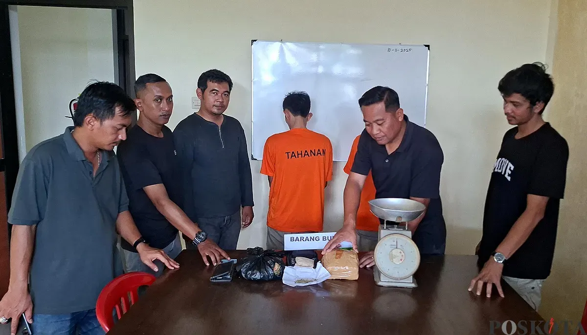 Tim Opsnal Polsek Tajurhalang menunjukkan barang bukti ganja yang peredarannya diduga dikendalikan seorang penghuni Lapas di Cirebon. (Sumber: POSKOTA | Foto: Angga Pahlevi)