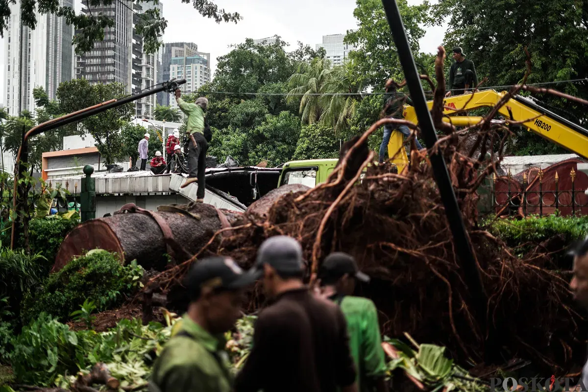 Petugas membersihkan sisa-sisa dari pohon tumbang di atas area transisi antara Stasiun MRT ASEAN dengan Stasiun MRT Mastercard di Jalan Sisingamangaraja, Jakarta Selatan, Kamis, 20 November 2025. (Sumber: POSKOTA | Foto: Bilal Nugraha Ginanjar)