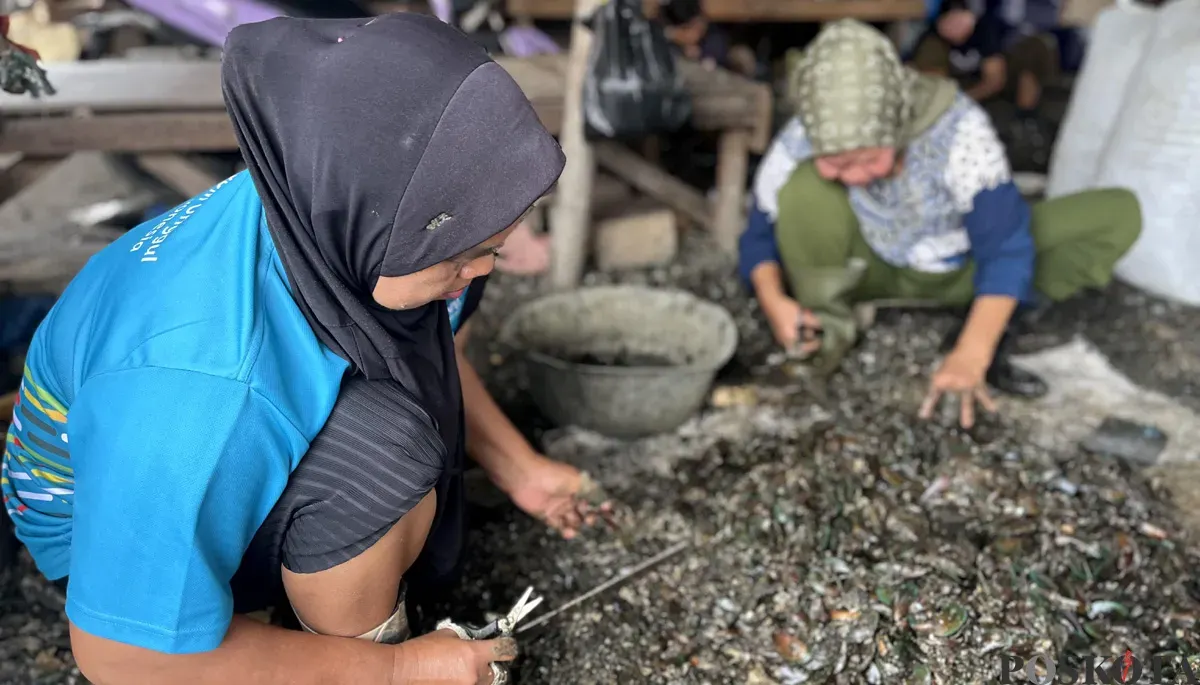 Aktivitas pengupasan kulit kerang di RW 22 Kelurahan Muara Angke, Kecamatan Penjaringan, Jakarta Utara, Sabtu, 22 November 2025. (Sumber: POSKOTA | Foto: Pandi Ramedhan)