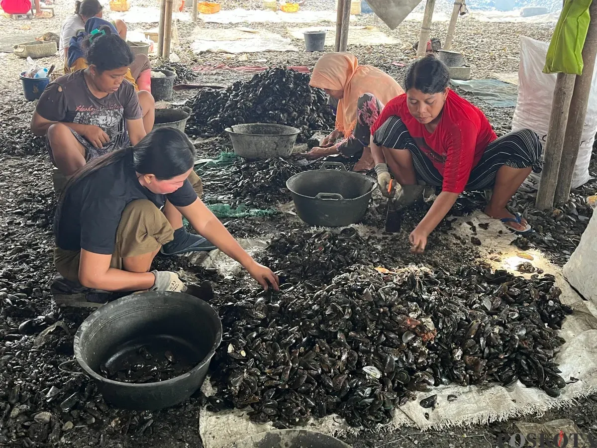Aktivitas pengupasan kulit kerang di RW 22 Kelurahan Muara Angke Kecamatan Penjaringan, Jakarta Utara, Sabtu, 22 November 2025. (Sumber: Poskota/Pandi Ramedhan)
