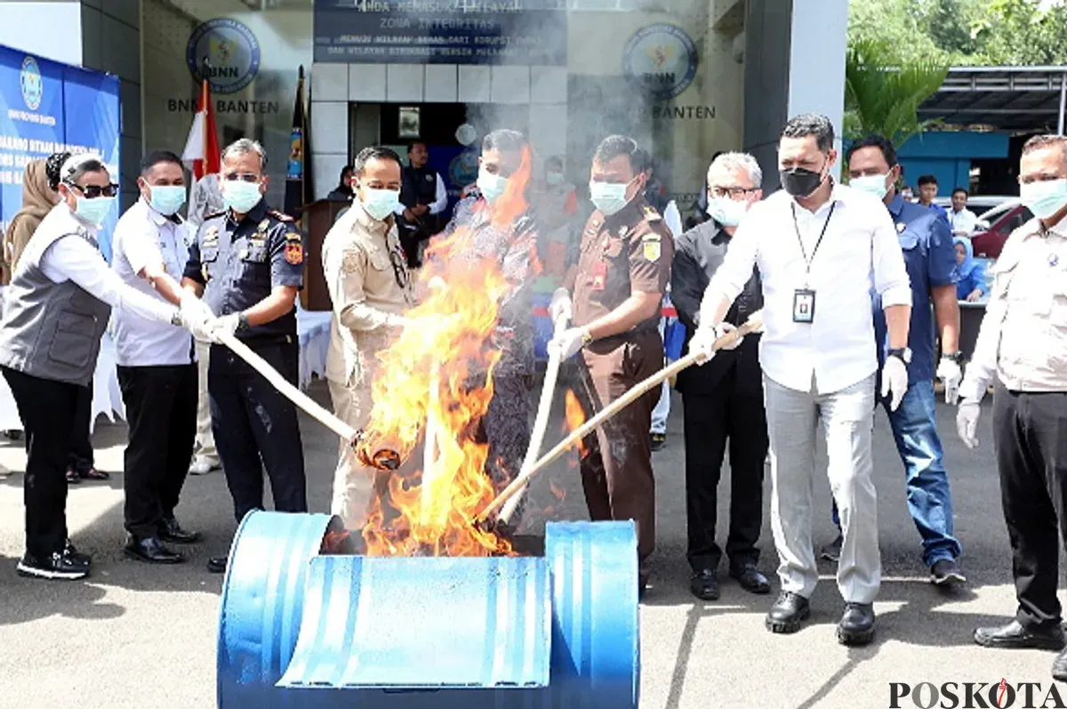 Pemusnahan ganja seberat 8, 4 kg di kantor BNNP Banten. (Sumber: POSKOTA | Foto: Rahmat Haryono)