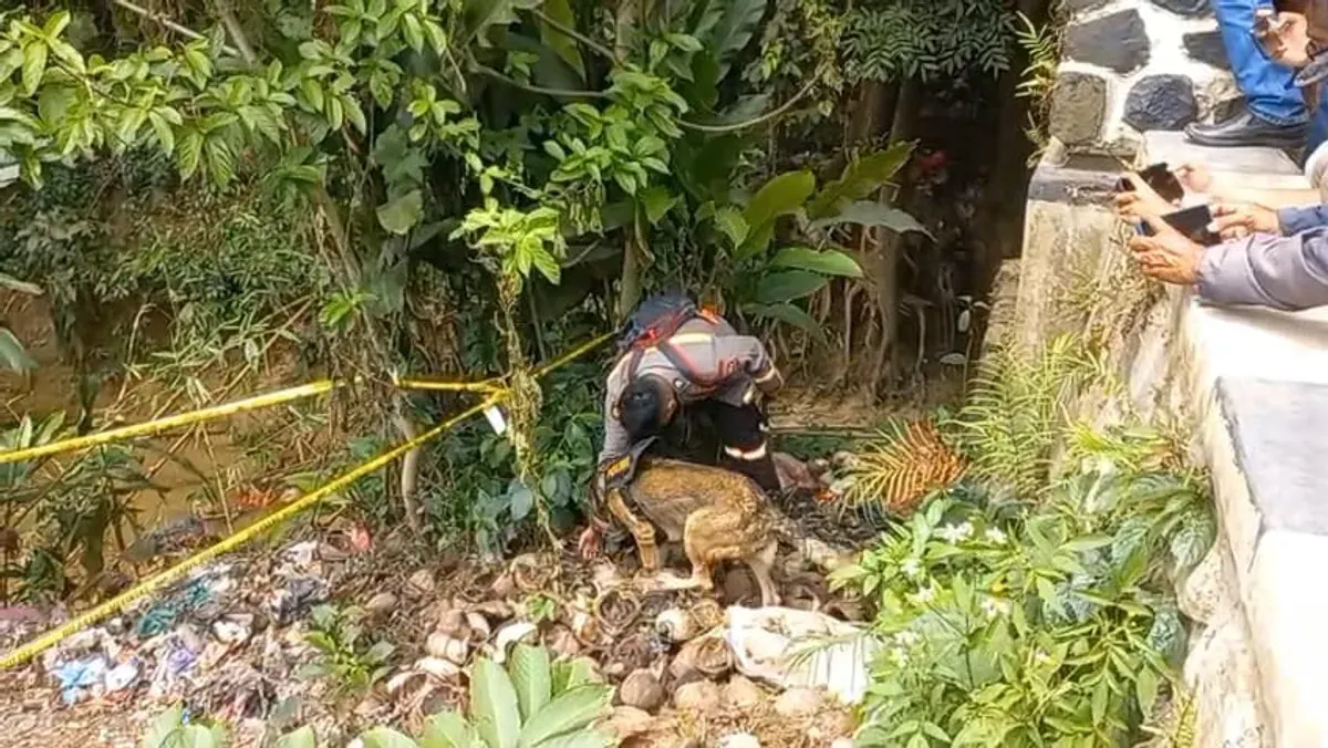 Anjing K9 dikerahkan untuk mencari sisa tulang Alvaro di pinggir Kali Cilalay, Desa Singabra, Kecamatan Tenjo, Kabupaten Bogor, Rabu, 26 November 2026. (Sumber: Dok. Istimewa)