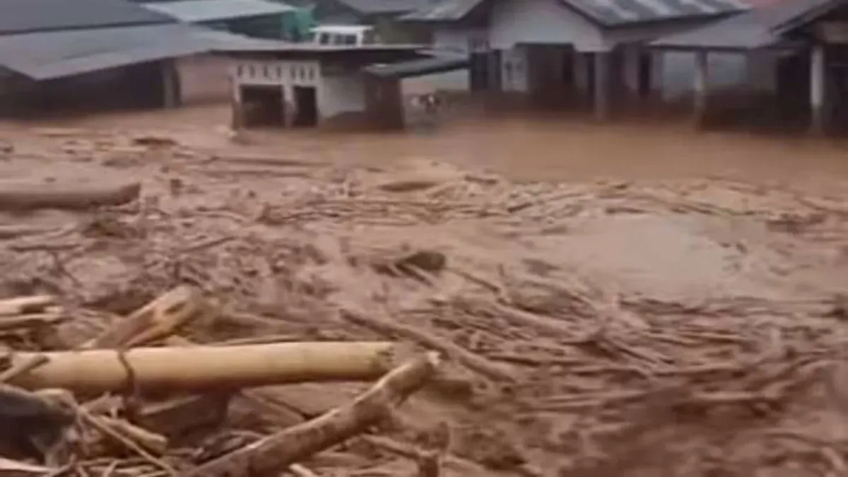 Potret peristiwa bencana banjir yang menghantam wilayah Sumatera. (Sumber: BNPB)