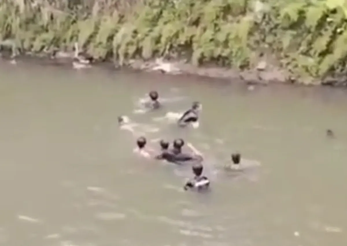 Tangkapan layar saat warga mencari keberadaan MMA, 9 tahun yang tenggelam di Sungai Sindang Barang, Bogor. (Sumber: Istimewa)