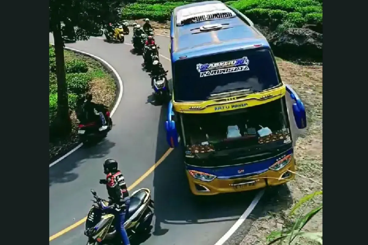 Pengendara NMax hentikan bus di Ciwidey (Sumber: TikTok/mbud_ojol)