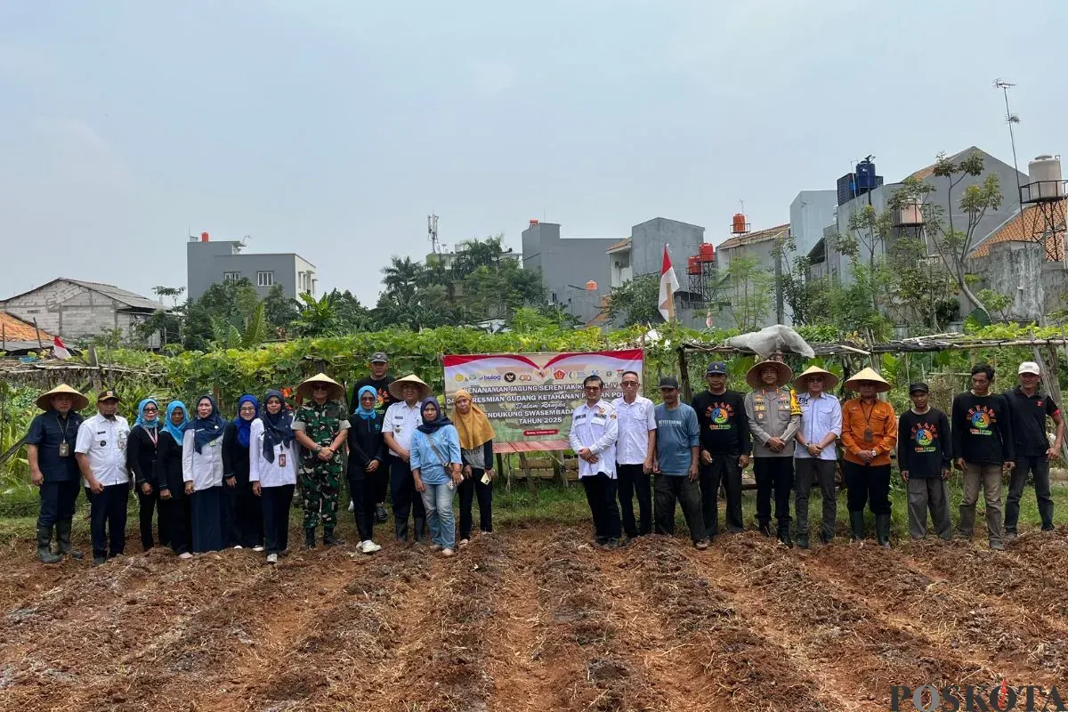 Kkegiatan penanaman jagung di lahan kelompok tani (Poktan) Semanan Sinergi RW 08, Semanan, Kalideres, Jakarta Barat, Rabu, 8 Oktober 2025. (Sumber: Poskota/Pandi Ramedhan)