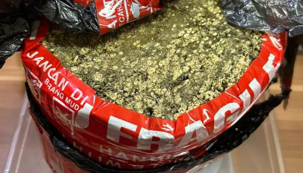 Barang bukti ganja yang diamankan oleh Satresnarkoba Polres Metro Bekasi Kota di wilayah Harapan Jaya, Kecamatan Bekasi Utara, Kota Bekasi. (Sumber: Dok Polres Metro Bekasi Kota)