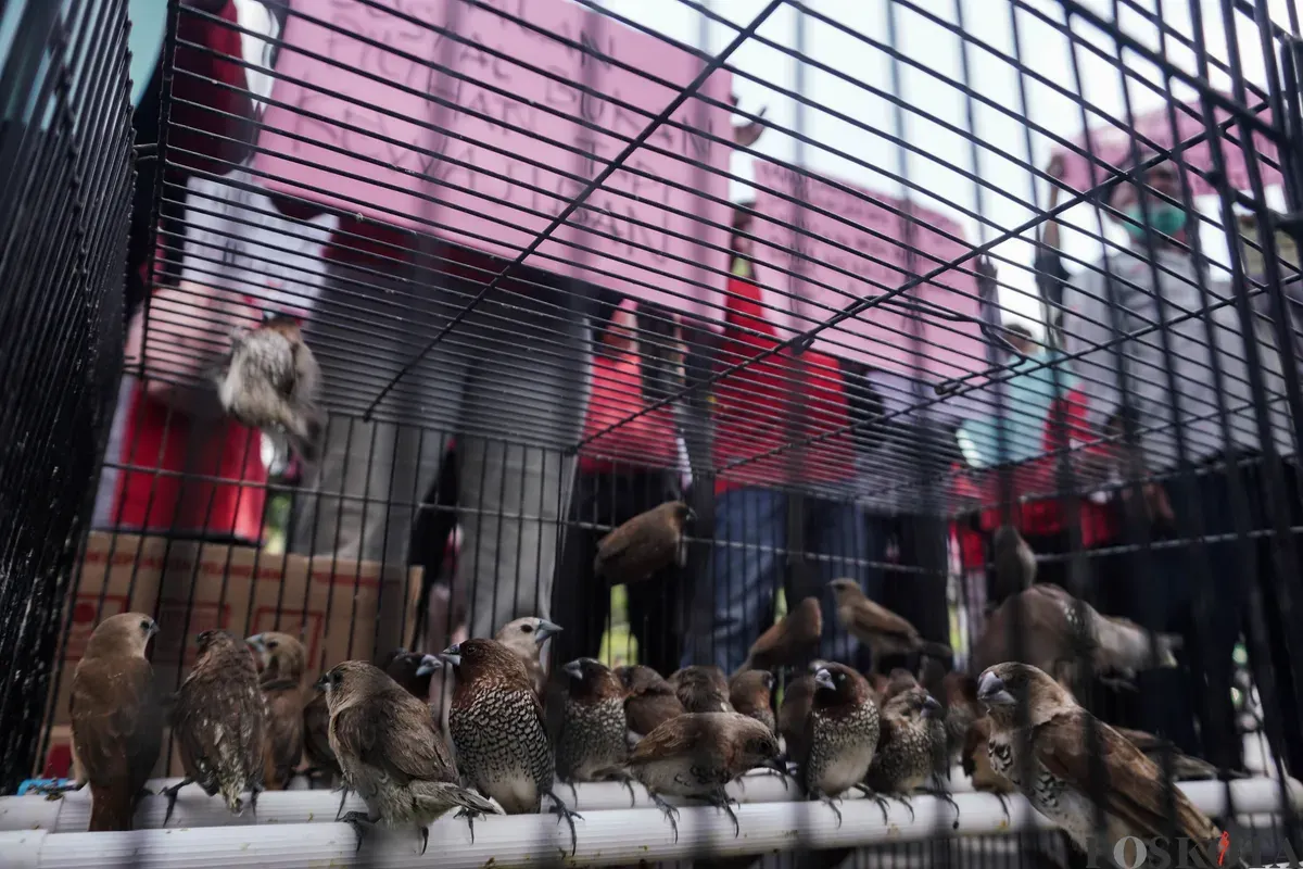 Sejumlah pedagang Pasar Barito yang tergabung dalam Solidaritas Usaha Rakyat Aliansi Barito Tolak Otoriter (Suara Barito) melakukan aksi di depan Balai Kota, Jakarta, Selasa, 14 Oktober 2025. (Sumber: Poskota/Bilal Nugraha Ginanjar)