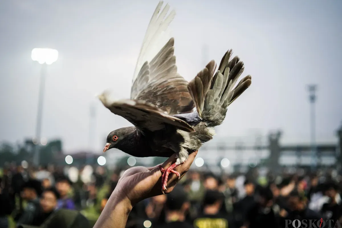 Suporter Riverside Forest membawa burung merpati usai menjuarai Liga 4 Bandung Utama di Stadion Sidolig, Bandung, Jawa Barat, Minggu, 19 Oktober 2025. (Sumber: Poskota/Bilal Nugraha Ginanjar)