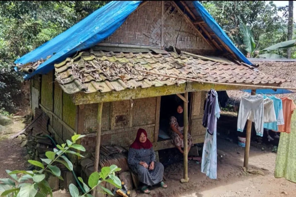 Kondisi bangunan rumah milik Jasminah warga Desa Citaman, Kecamatan Jiput, Kabupaten Pandeglang. (Sumber: Dok. Warga)