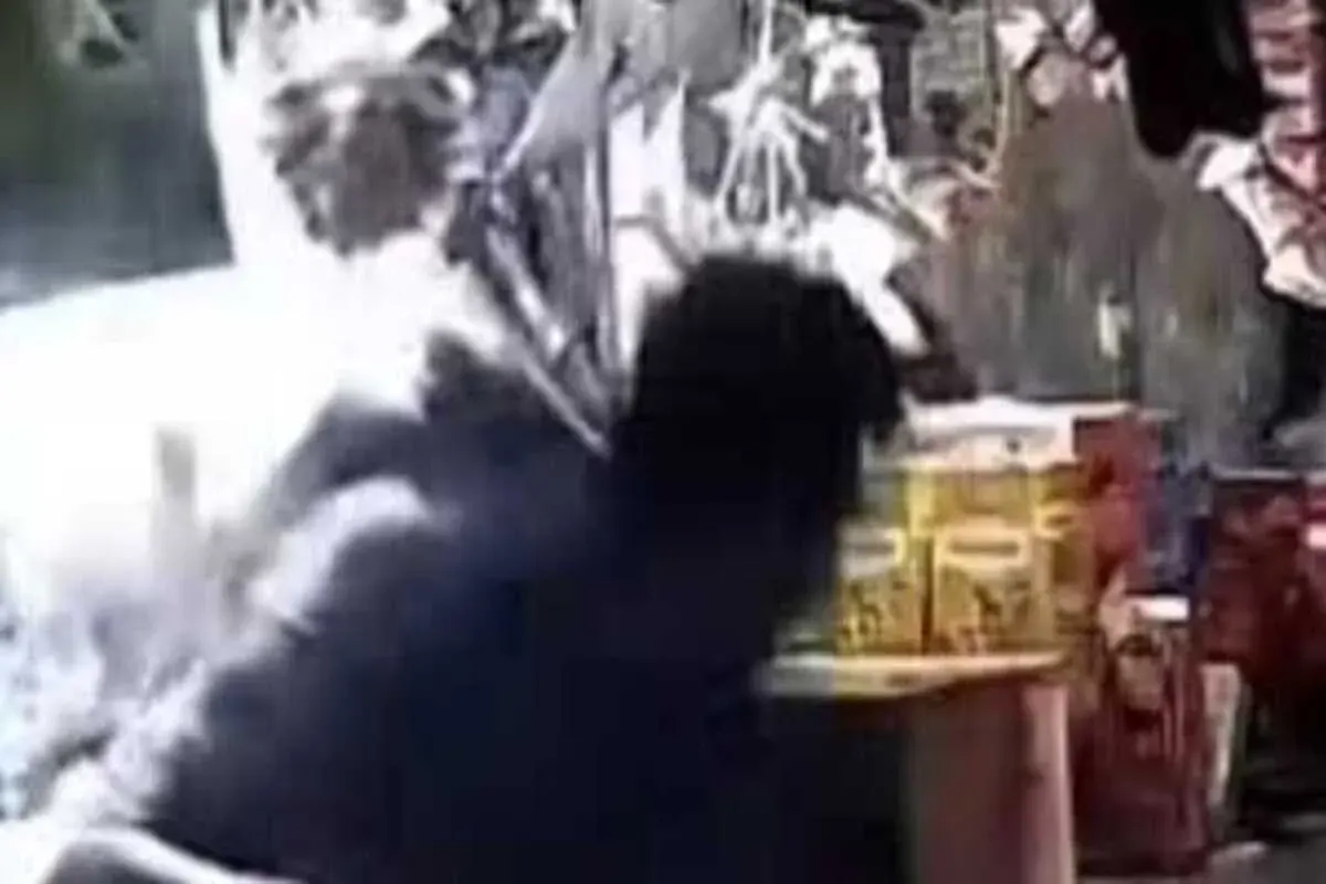 Cuplikan video sekelompk pelajar lari terbirit-birit hingga merangkak masuk ke sebuah warung Madura di Jalan Raya Semeru, Grogol Petamburan, Jakarta Barat pada Kamis, 23 Oktober 2025 sore. (Sumber: Istimewa)