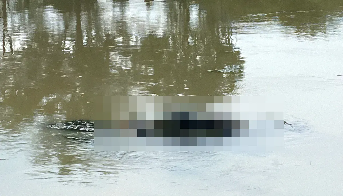 Jasad wanita tanpa identitas ditemukan mengapung di aliran sungai Kalimalang, Desa Sukadanau, Kecamatan Cikarang Barat, Kabupaten Bekasi. (Sumber: Istimewa)