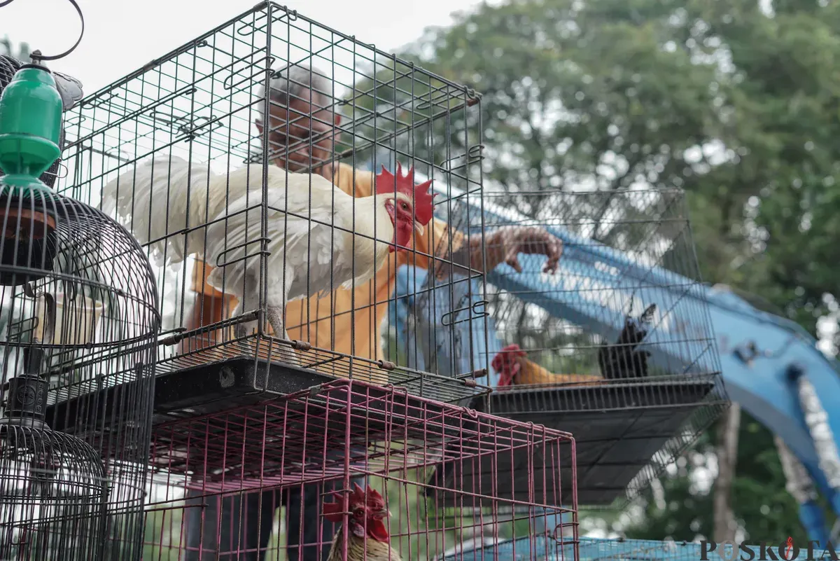 Petugas mengangkut puing-puing saat penertiban kios di Pasar Barito, Jakarta Selatan, Senin, 27 Oktober 2025. (Sumber: Poskota/Bilal Nugraha Ginanjar)