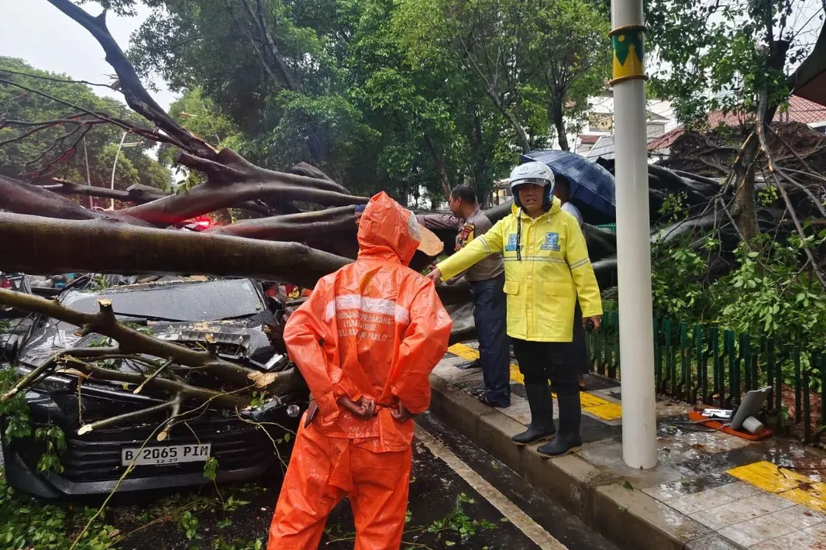 Pohon besar tumbang di Dharmawangsa Jakarta Selatan (Sumber: X/@TMCPoldaMetro)