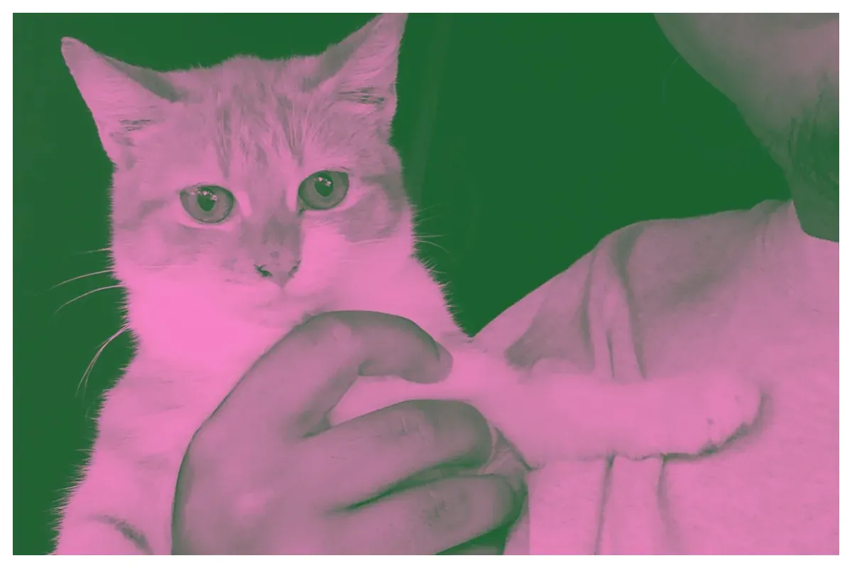 Cara ganti foto profil pakai Brave Pink Hero Green yang viral di media sosial. (Sumber: X/@tahu_gulin666)