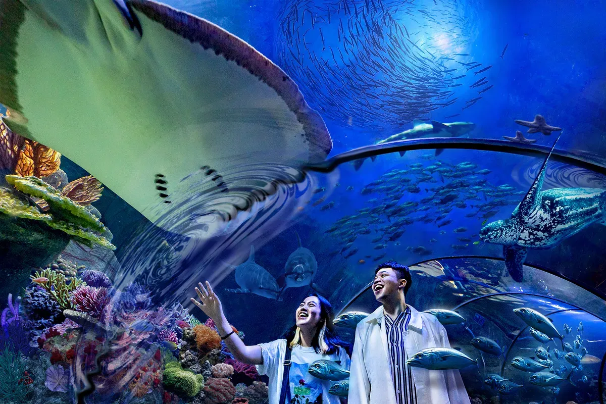 Sea World merupakan salah satu rekomendasi wisata akuarium di Jakarta. (Sumber: Tiket.com)
