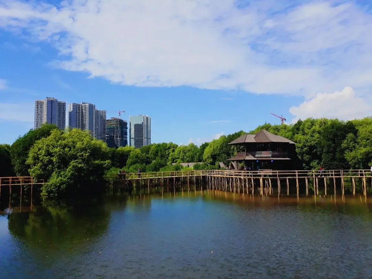 Hutan Mangrove PIK, destinasi ekowisata yang menjaga keseimbangan ekosistem pesisir Jakarta. (Sumber: Pinterest/@Selika)