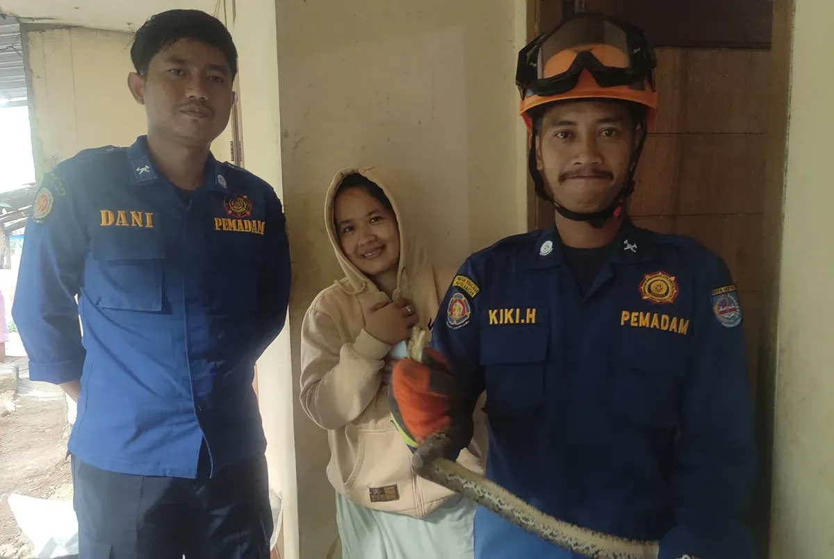 Petugas Damkar Kota Depok berhasil mengevakuasi menangkap seekor ular yang masuk ke rumah warga. (Sumber: Damkar Depok)